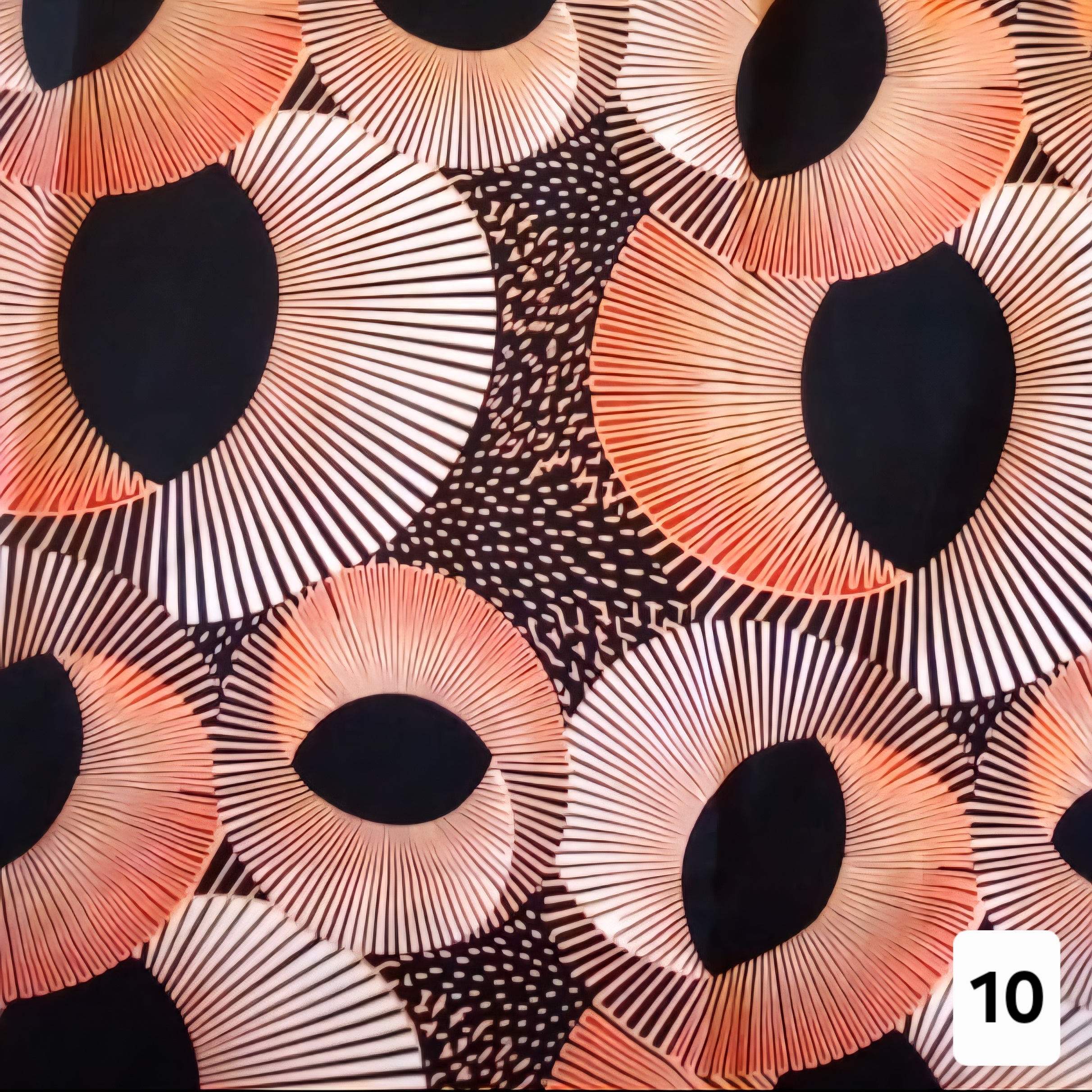 Afrikkalainen Flora hame, pitkä - Image 12